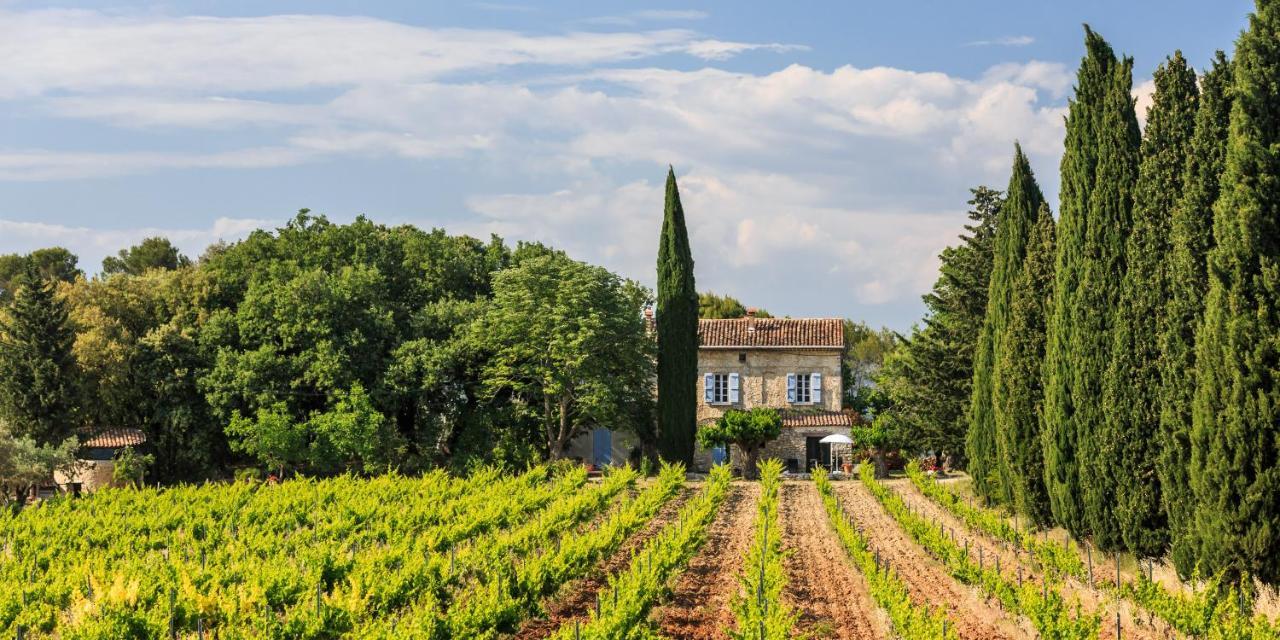 Château Saint-Esprit Acomodação com café da manhã Draguignan Exterior foto